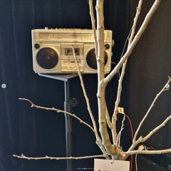 Something About Photosynthesis