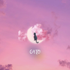 Gato