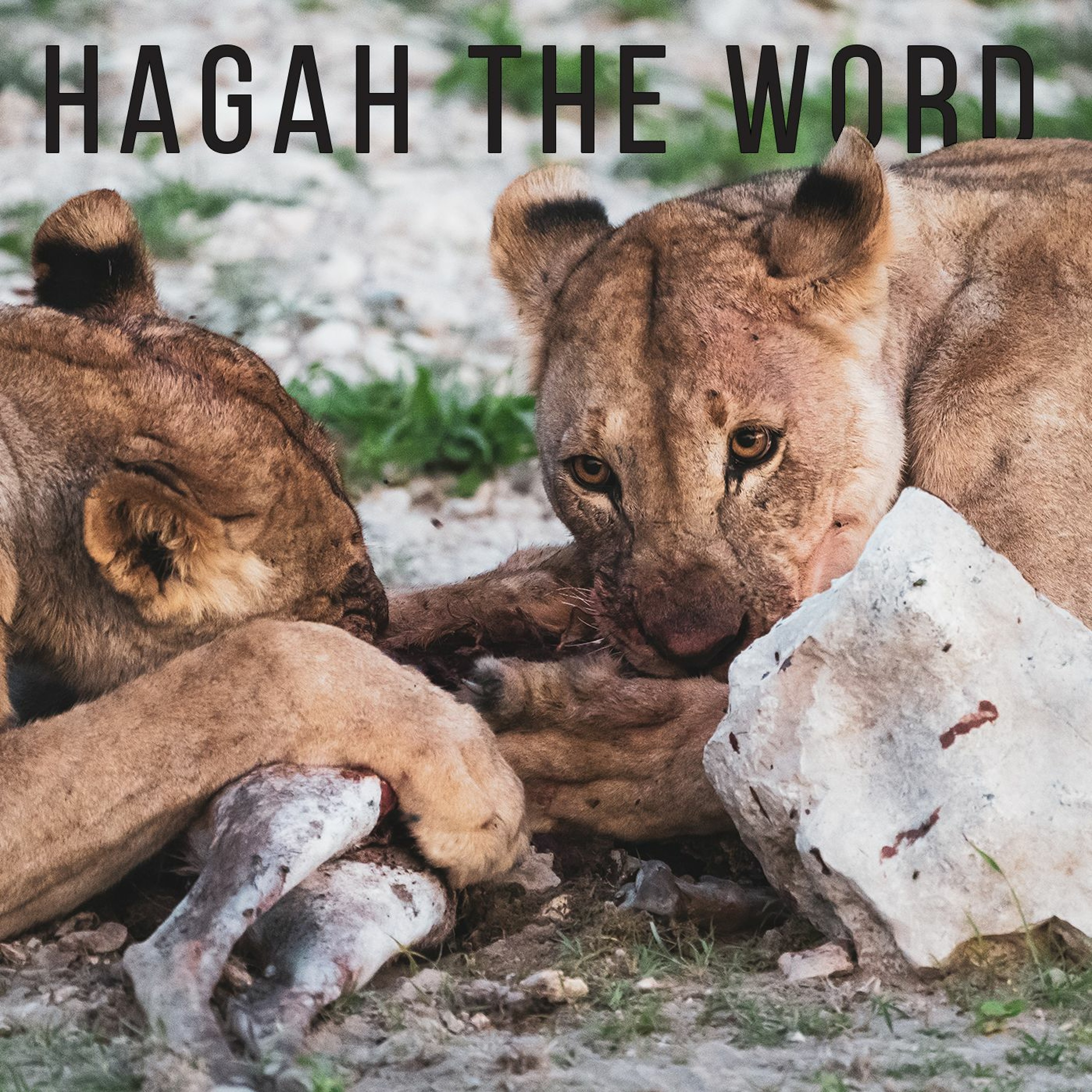Hagah The Word episode artwork