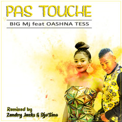 BIG MJ feat. OASHNA TESS - Pas touche (remixed by ZANDRY JACKS & DJO'SINO)