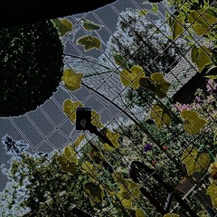 спать с тобой (prod. 2kissyoshi)