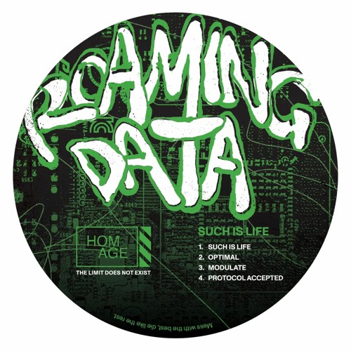PREMIERE: Roaming Data - Modulate (HOMAGE)