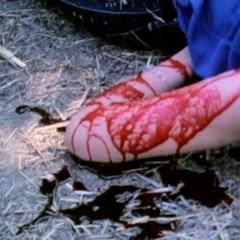 LINOLEUM ROSES W/ ARMIIZZY (PROD. LORD135)