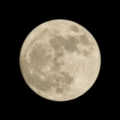 dancing in moonlight