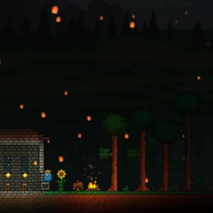 Lantern Light