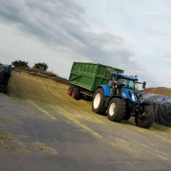 hontige monnik chiel mix