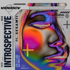 Whenuknow & Sesamii - Introspective