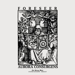 TSW001: Foreseer - The Silvery Water