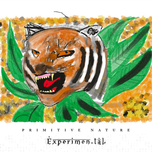 Experiment.tal Collection