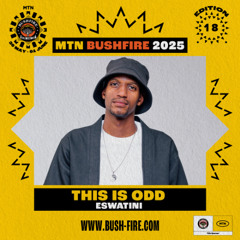 MTN Bushfire Festival 2025 (Bring Your Fire Stage)