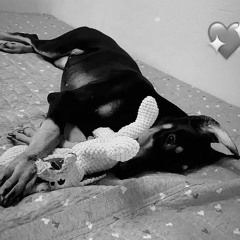 CcinBogle - Оддын охин