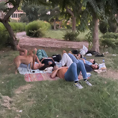 الهوا كبيئة مشتركة بيننا وبين الأشجار