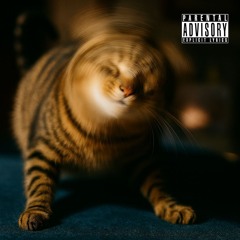 Scratch Metal-- Metal for your kitty
