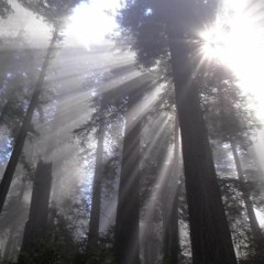 will be fine (prod. taurs x thislandis)