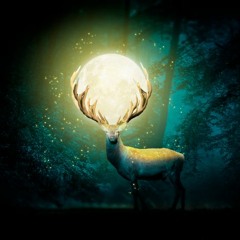 밤의 요정(The fairy of the night)