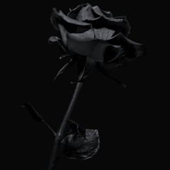 Dos Nikos - Seductions (Live-REC @AmoreRiosBDay 18. JUNE'25)