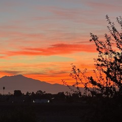 Jesus_Sun_And_Shield_Art_Thou..🌹🌱🌺 Jesus, Sol y Escudo Eres, Sol y Escudo Siempre 🌹🌱🌺