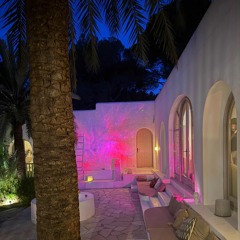 Organic House: chill beats to unwind and vibe