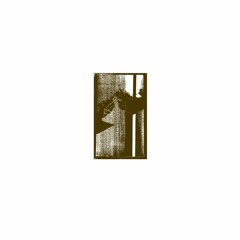 CH415 - Magnetic