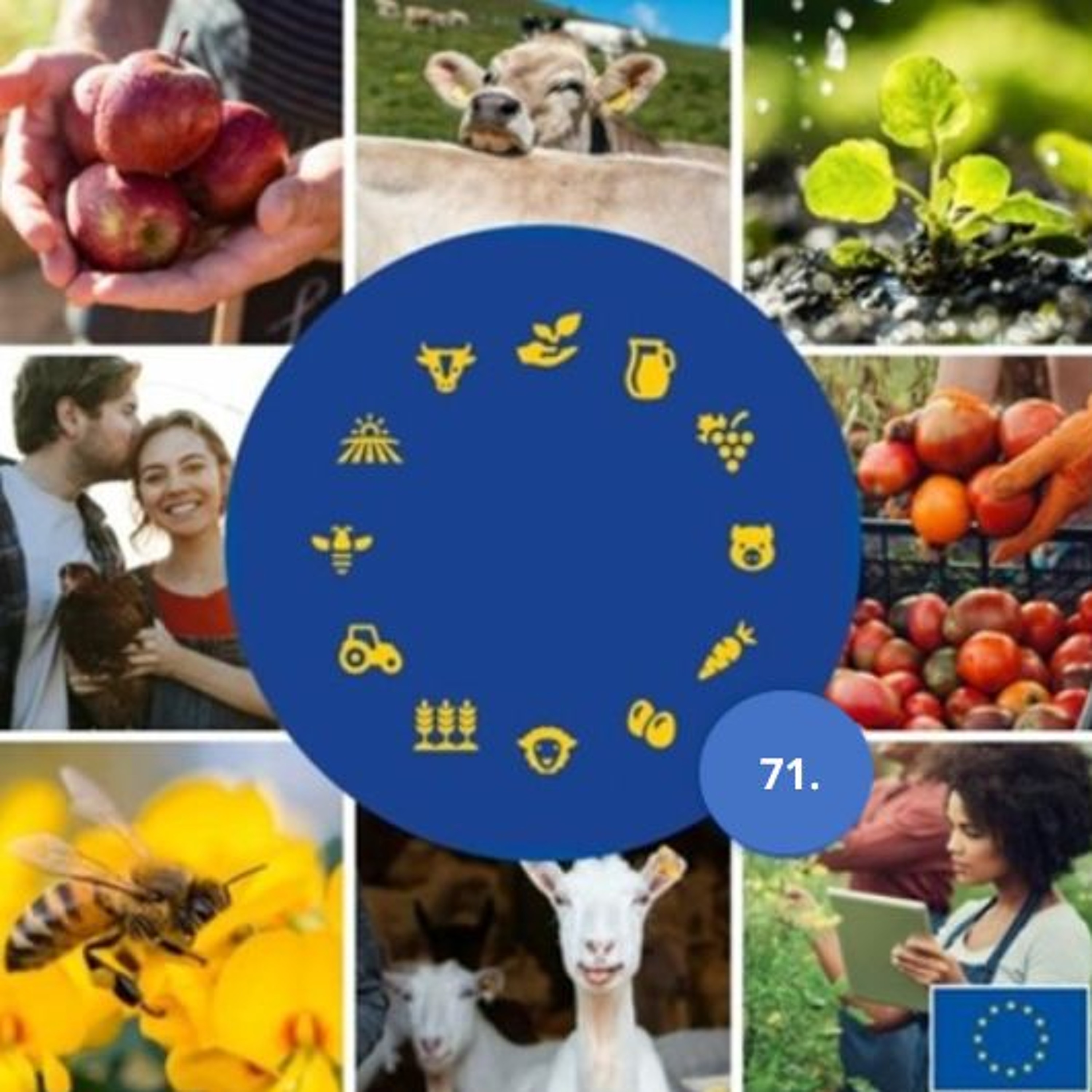 71. Die Zukunft der europäischen Tierhaltung: Das Streben nach Exzellenz