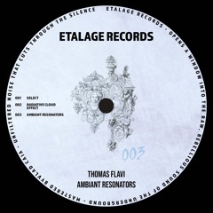 Thomas Flavi - Select