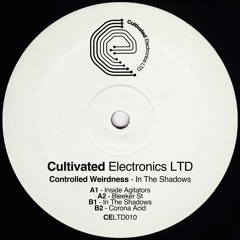 TL PREMIERE : Controlled Weirdness - Bleeker St [Cultivated Electronics LTD]
