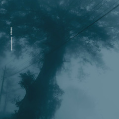 stillness