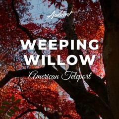 American Teleport - Weeping Willow