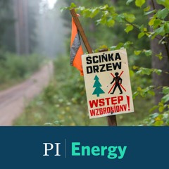 Czyje są lasy? | Energia do zmiany