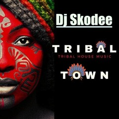 Skodee Mix - Tribal sensation Electro/House