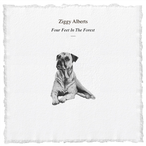 Tell Me (The Hoddevik Song)