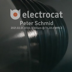 Electrocat - Peter Schmid 01.02.2021
