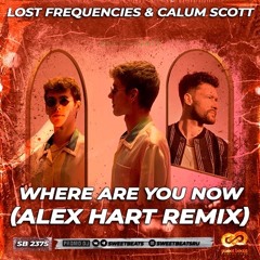 Lost Frequencies & Calum Scott - Where Are You Now (Alex Hart Radio Edit)