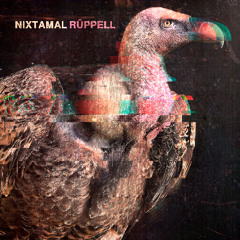 Nixtamal - Rüppell [Folcore 149]
