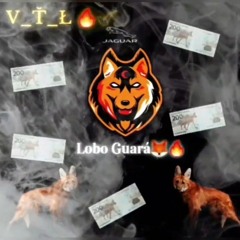 Vtl- Lobo Guará