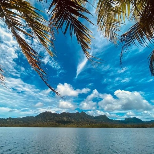 🇸🇧Sean Rii, Sharzkii, Jenieo - Island Home