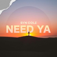 Syn Cole - Need Ya (Flux Remix)