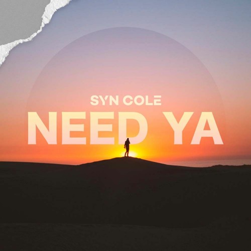 Syn Cole - Need Ya (Flux Remix)