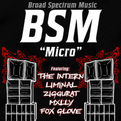 BSM Micro | 22.08.25