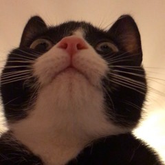 Lối | Houselak G-House Mix ~Hiewie~