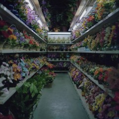 My Nocturnal Valentine