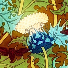 Calm Flowers