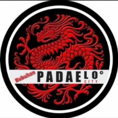 MIXTAPE AIRPLANE MODE ON PADAELO CITY REQ #FABIOOCHOA17