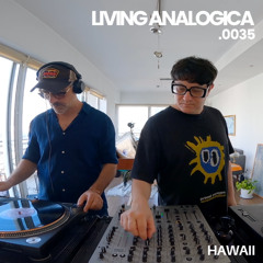 Living Analógica .0035 | Hawaii | 21.09.2025