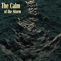 The Calm Of The Storm
