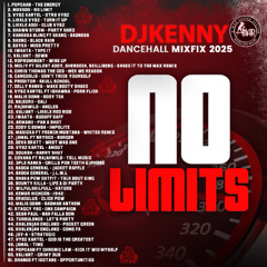 DJ KENNY  NO LIMITS DANCEHALL MIXFIX 2025