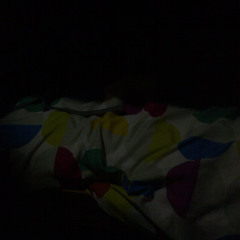 system freak freestyle