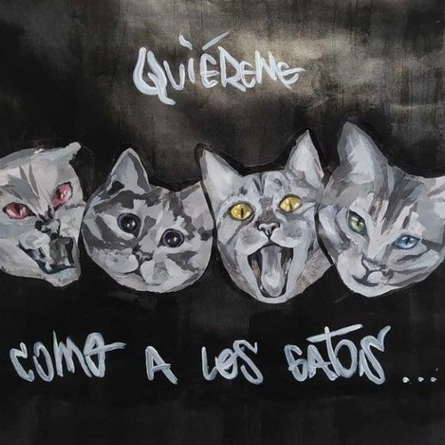 Stream Ed Lugosi "El viejo gato negro" | Listen to LP Quiéreme como a los  gatos playlist online for free on SoundCloud