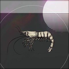 ECHO Rec. Premiere | Alexander Titov - Shrimp Melody