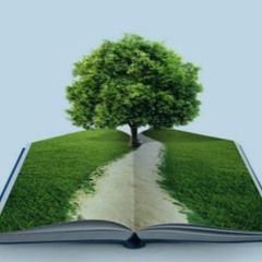 Learn - The Types Of Environmental Auditing Services In India